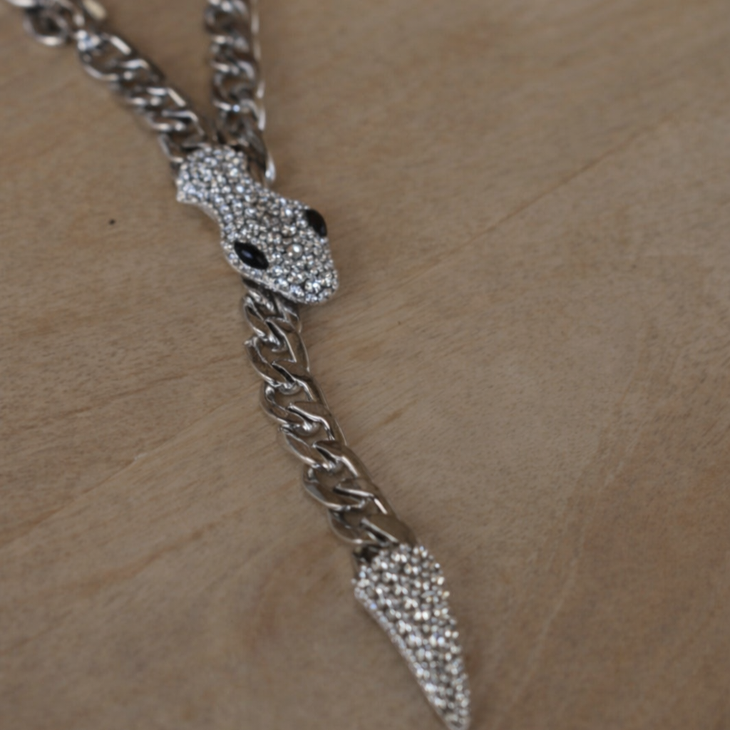 Zilveren slangen ketting