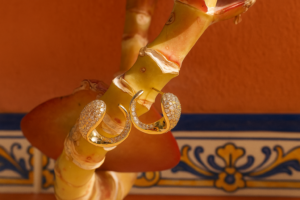 Kleine gouden oorringen met stenen