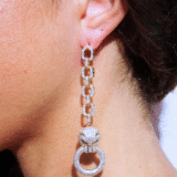 Zilveren lange panteroorbellen