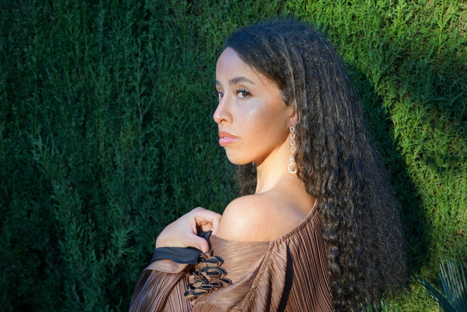 Long panter earrings